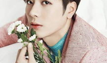 王嘉尔最新吃瓜爆料视频,揭秘娱乐圈不为人知的幕后故事